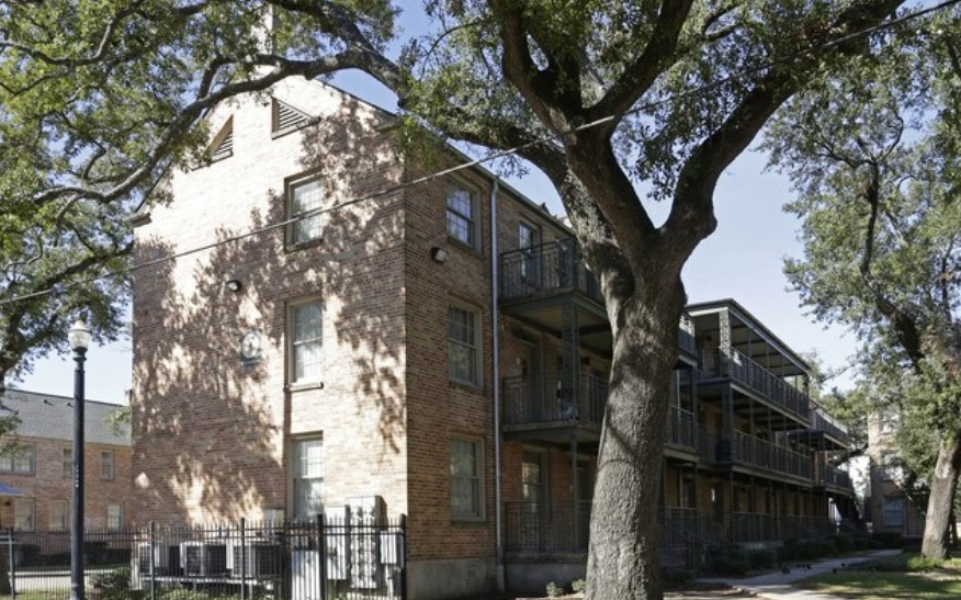 A tree in front of a building with a black fence.